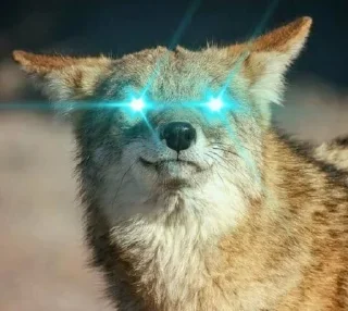 Sticker 👁 Taisa's Coyote Content