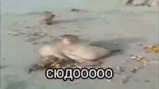 Video sticker 😔 Стикеры @stickrubot @textmeru_bot