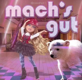 Video sticker ✋ isso leider :: @fStikBot