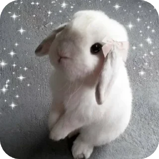 Sticker 😊 उन्नीस शव निन्यानबे:: @fStikBot