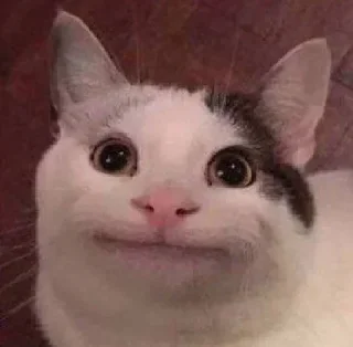 Telegram sticker 😐 उन्नीस शव निन्यानबे:: @fStikBot