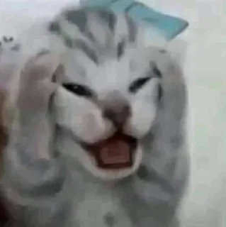 Telegram sticker 😫 उन्नीस शव निन्यानबे:: @fStikBot