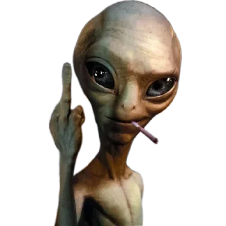 Telegram stiker 🗿 É Mula !