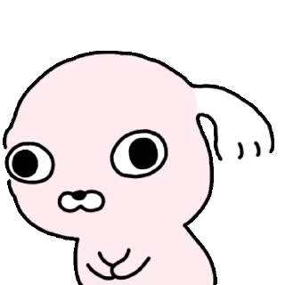 Video sticker 👍 @KakaoEmoji 누드개 강사장