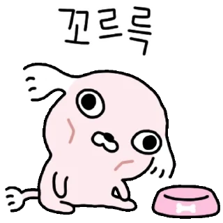 Video sticker 👍 @KakaoEmoji 누드개 강사장