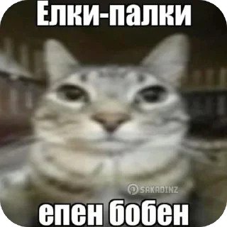 Telegram sticker 🫥 ариша самая крутая :: @arishhhhk