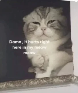 Video sticker 😔 Shitty Memes