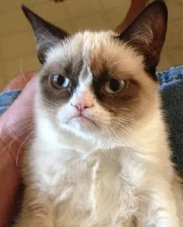 Telegram sticker 😾 Shitty Memes