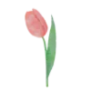 Video sticker 🌷 @mrxshn :: @fStikBot