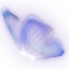 Sticker 🦋 @mrxshn :: @fStikBot