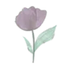 Sticker 🌷 @mrxshn :: @fStikBot