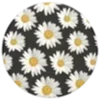 Sticker 🌼 @mrxshn :: @fStikBot