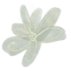 Sticker 🌿 @mrxshn :: @fStikBot