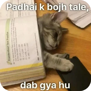 Sticker 🐱 ℘riyꫝXchatpati~stickers🎀