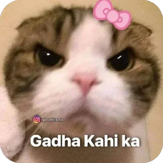 Telegram stiker 🫥 ℘riyꫝXchatpati~stickers🎀