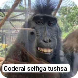 Telegram sticker 😀 @kirito_asuunam