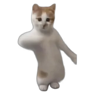 Telegram stiker 🕺 @round_stickers