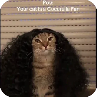 Telegram sticker 🫥 Fat ball