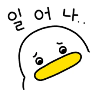 Sticker ⭐ 꽉꽉꽉! 곽대리3 @moe_sticker_bot