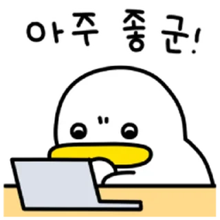 Video sticker ⭐ 꽉꽉꽉! 곽대리3 @moe_sticker_bot