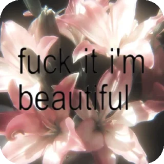 Video sticker 🤲 Mimmi :: @fStikBot