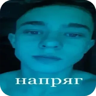 Video sticker 🤪 Пко @stikerbob