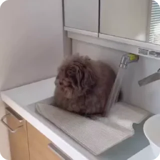 Video sticker 😌 7-8 ебучих спартаков