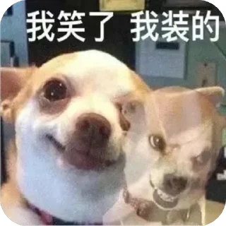 Sticker 🫥 @lspjlq