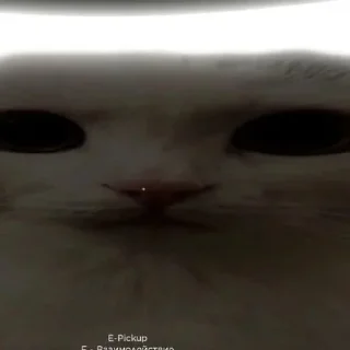 Video sticker ❤ ЁКАРНЫЙ КАПЕЦ :: @kararasenokk