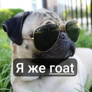 Telegram sticker 🤩 Пик Тролинга уше :: @fStikBot