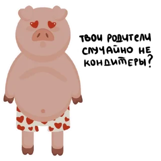 Video sticker 😍 Mr.Pigus