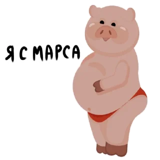 Telegram sticker 🙋‍♂ Mr.Pigus