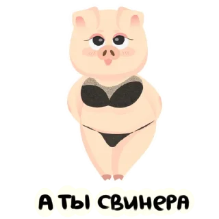 Telegram sticker 💁‍♀ Mr.Pigus