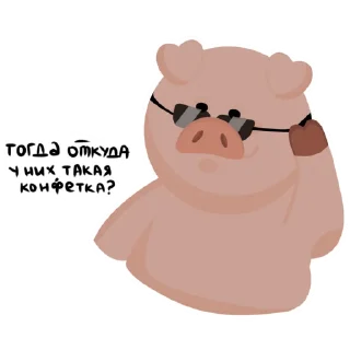 Video sticker 😎 Mr.Pigus