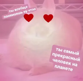 Video sticker 🤩 Бурмалдайцы от @Dictor_mladshu @Blender344 @MoiStikiBot