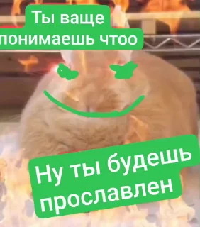 Video sticker 🤩 Бурмалдайцы от @Dictor_mladshu @Blender344 @MoiStikiBot