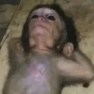 Telegram sticker 🤖 @SkullMaskX