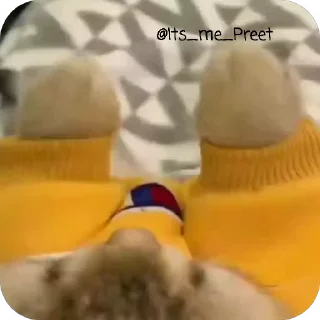 Video sticker 🐾 Catu_[@Its_me_Preet]