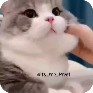 Video sticker ☺ Catu_[@Its_me_Preet]