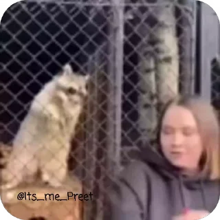 Video sticker 🥳 Catu_[@Its_me_Preet]