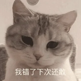 Sticker ❤️ 雁的表情包 2.0