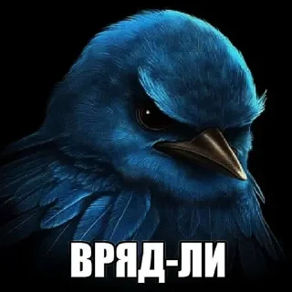 Telegram sticker 🐤 парируй это @kodokushit