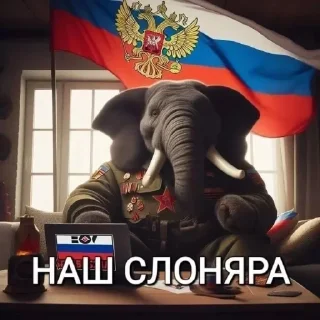 Video sticker 🇷🇺 парируй это @kodokushit