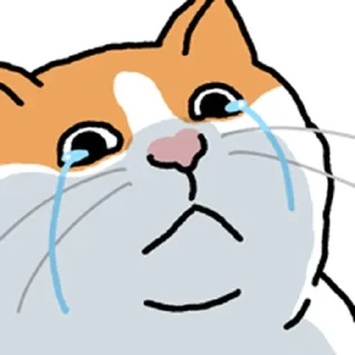Telegram sticker ⭐ 고양이 확대 @moe_sticker_bot