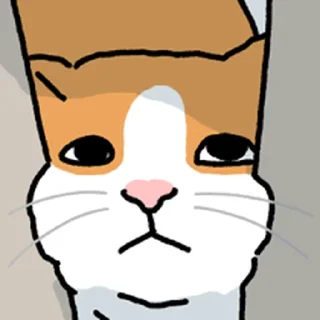 Telegram sticker ⭐ 고양이 확대 @moe_sticker_bot