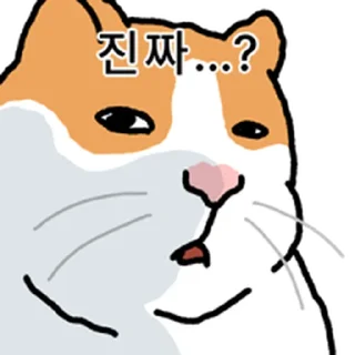 Telegram sticker ⭐ 고양이 확대 @moe_sticker_bot