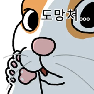 Telegram sticker ⭐ 고양이 확대 @moe_sticker_bot