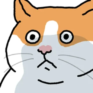 Telegram sticker ⭐ 고양이 확대 @moe_sticker_bot
