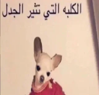 Sticker 🌚 @l12o8 @r2jeo @e8_9i