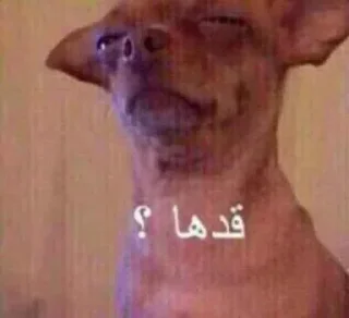 Video sticker 🌚 @l12o8 @r2jeo @e8_9i